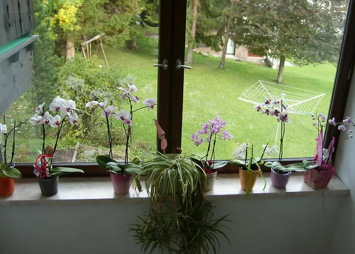 Апартаменты Birkenhof